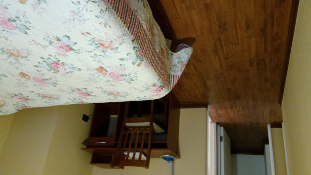 Ams Apartments Monjitas Santiago Bilik gambar
